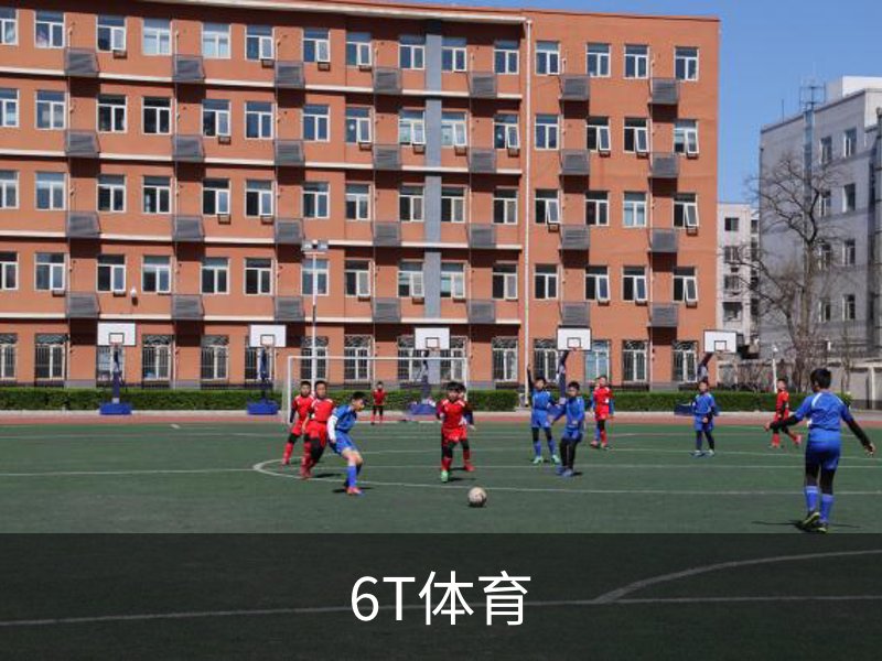 6T体育简介
